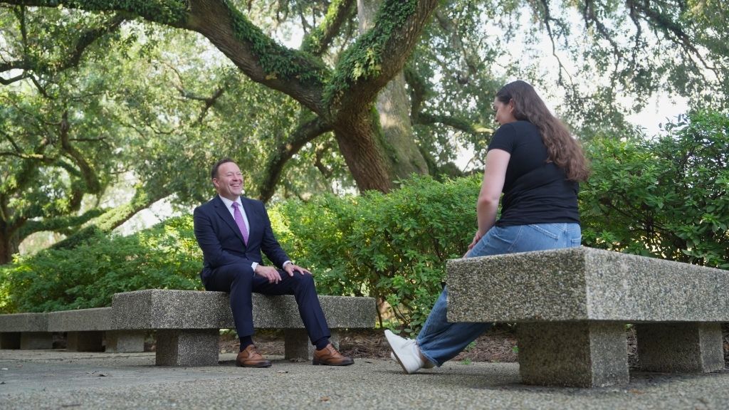 alt text description