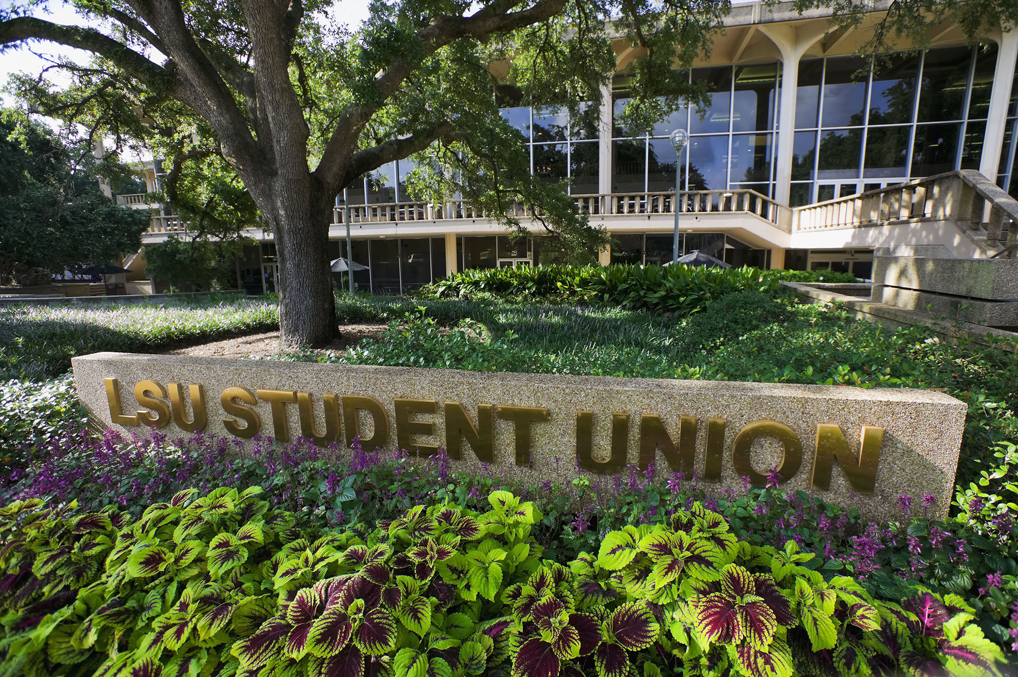 Sign in front of the LSU Student Union