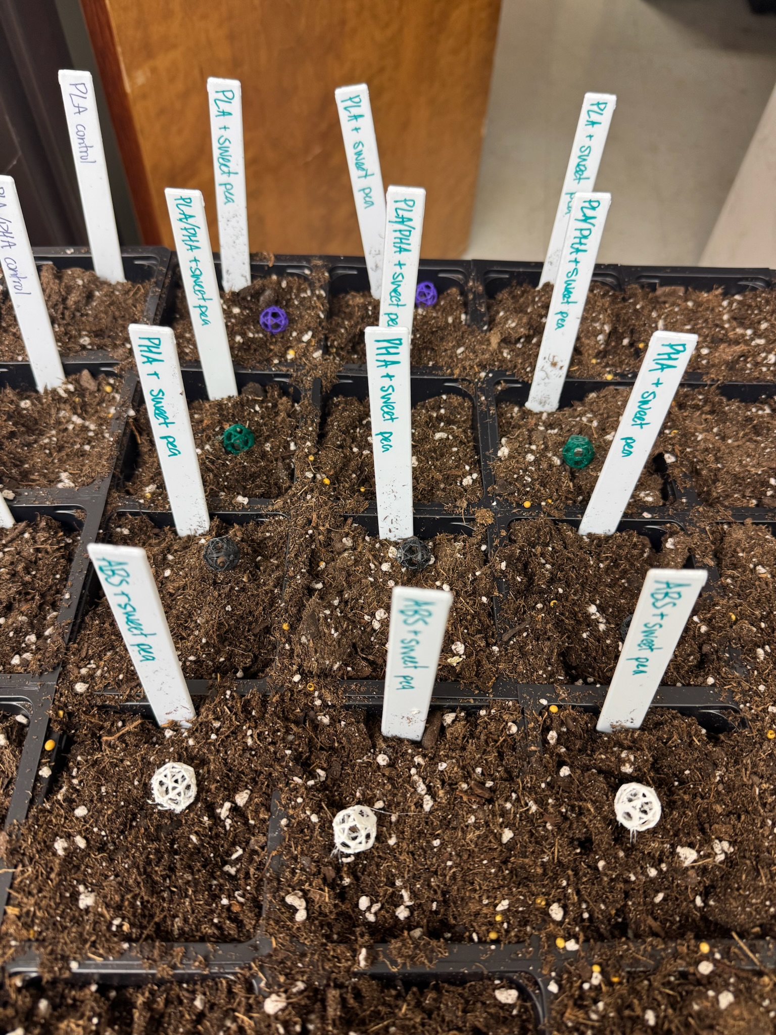 Beads in dirt with labels