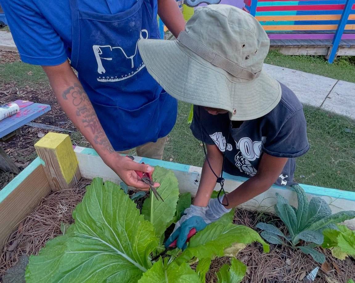 Hands working in a garden Hands working in a garden