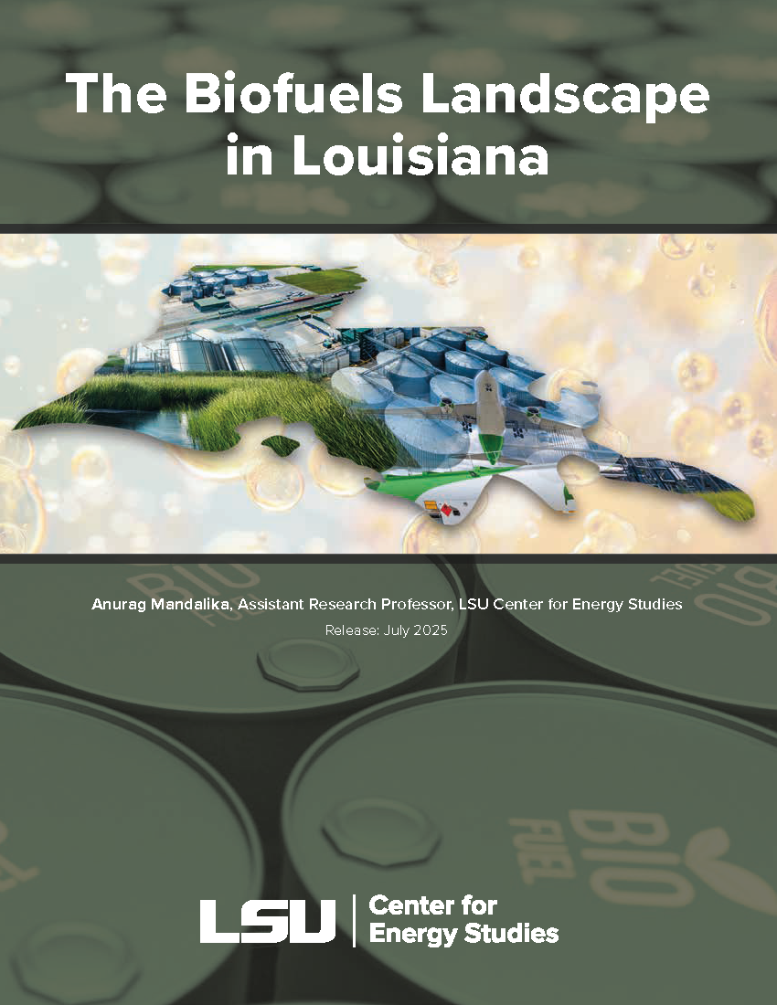 Biofuel Landscape in Louisiana White Paper