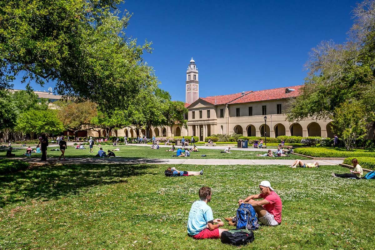 decorative photo of the lsu quad