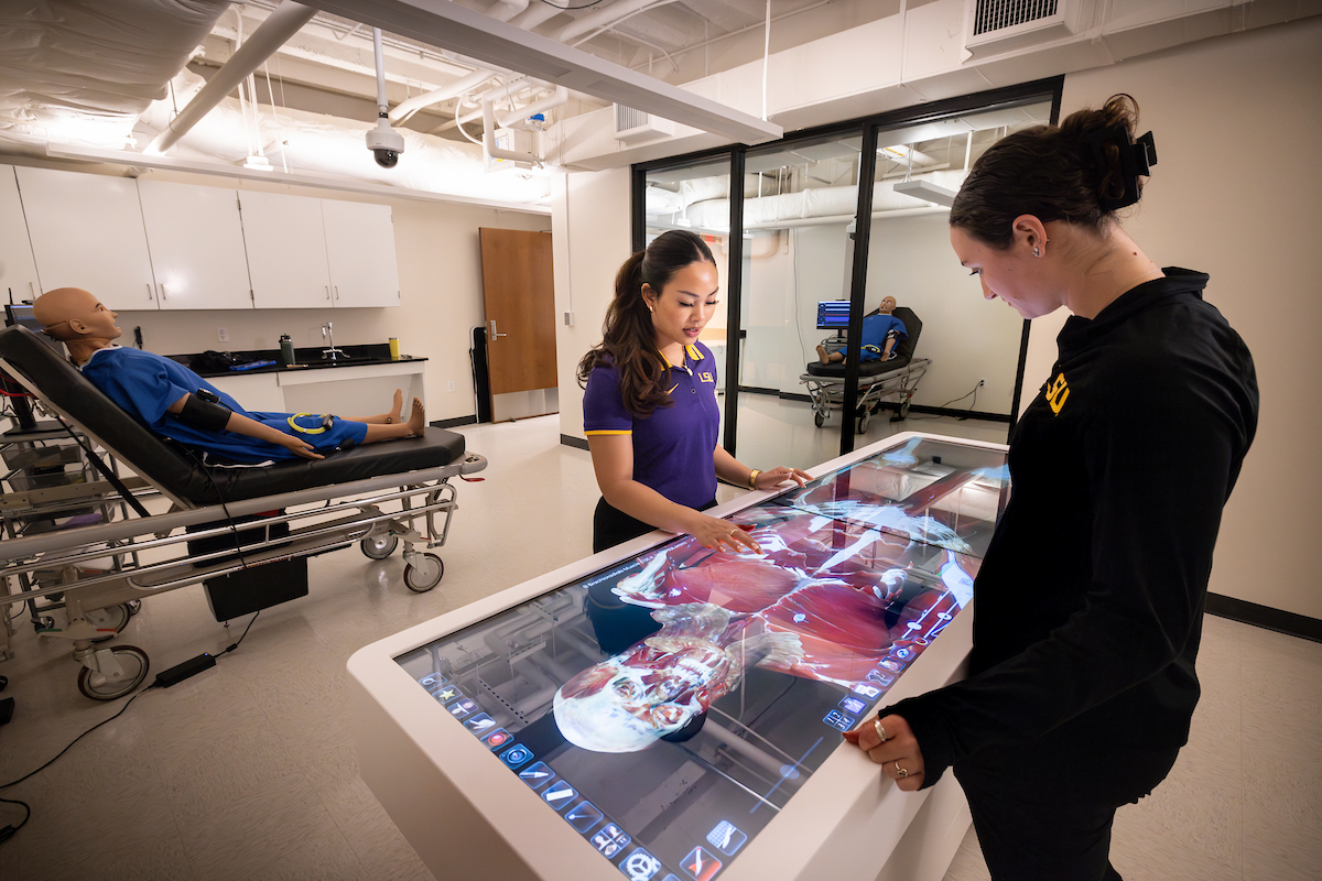 Students learn in the Kinesiology lab