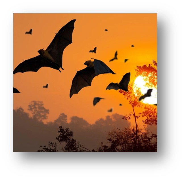 comic bats flying across orange sky