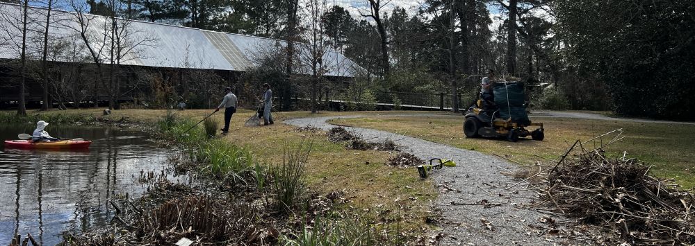volunteers cleaning out around and in pond