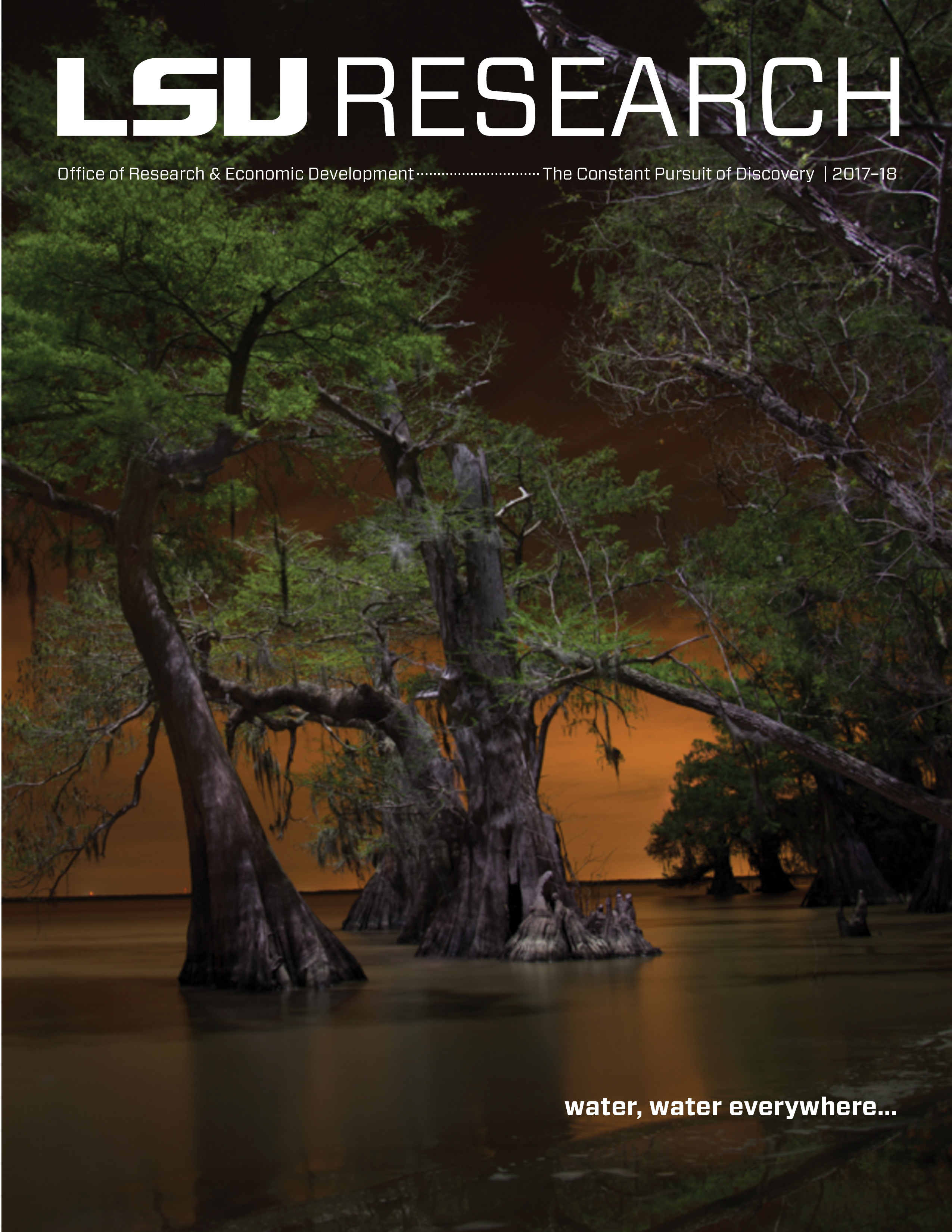 Cover Image of Research Magazine 2017: Water, Water Everywhere