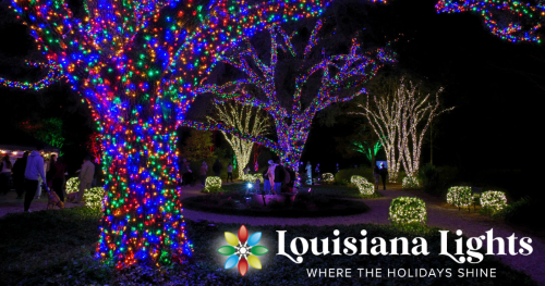 trees in Windrush Garden lit up by Christmas lights for Louisiana Lights event.