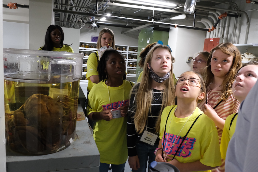 LSU Science Girls Day at the Museum Tour